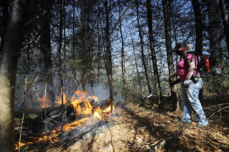 Volunteer firefighter's Sheri Torbett, with the Sequoyah Volunteer Fire Department, uses a leaf blower Thursday to turn back approaching flames near the Mowbray Volunteer Fire Hall in Soddy-Daisy.