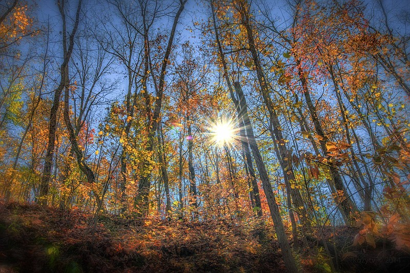 The monthly open day at the Head of the Sequatchie Management Area, one of the access points on the Cumberland Trail State Scenic Trail, is coming up 8 a.m.-4:30 p.m. CST Saturday, Nov. 19.