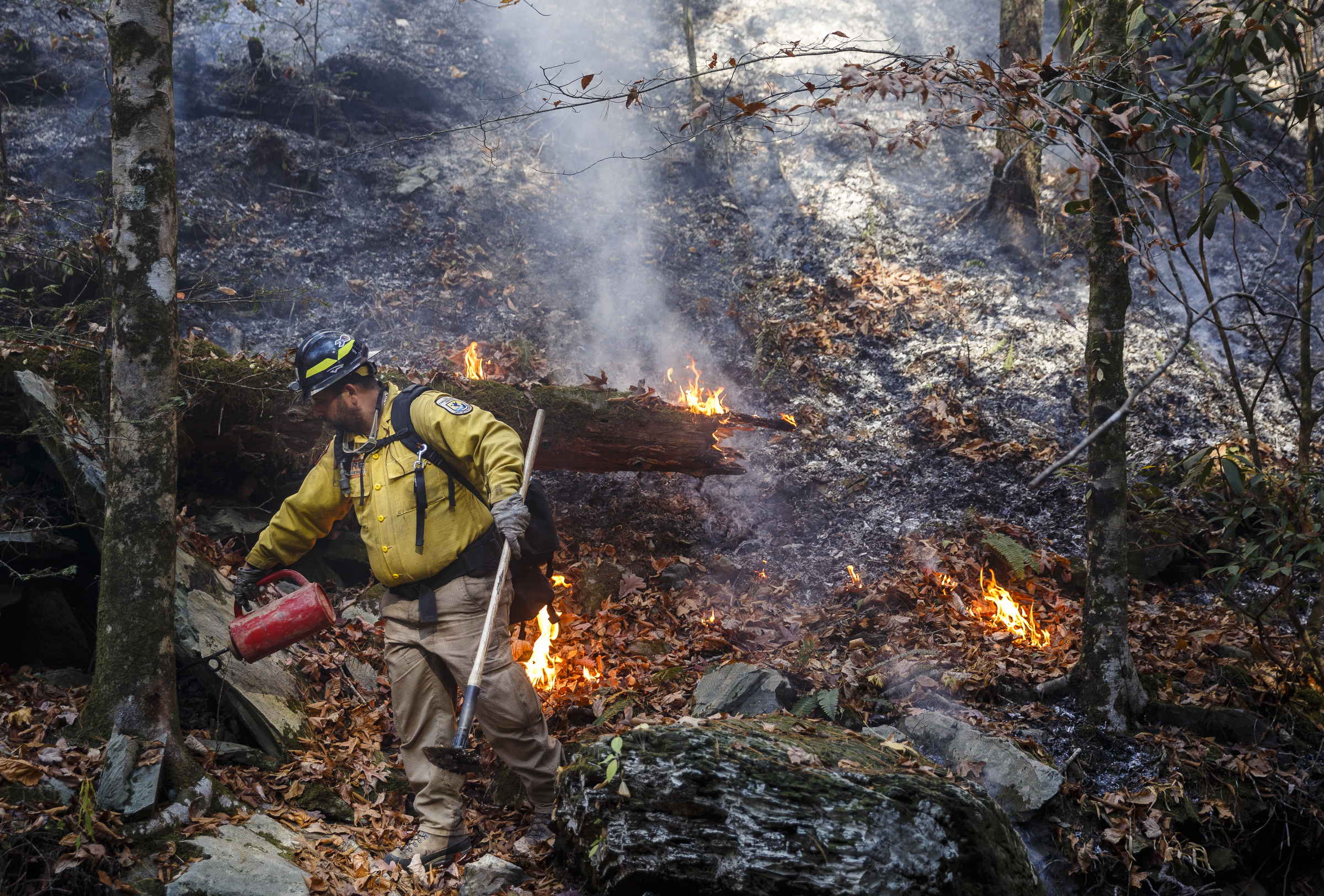 Firefighter Jose Martinez from Puerto Rico uses a drip torch to burn out underbrush and remove fuel for the fire while battling the Rough Ridge wildfire in the Cohutta Wilderness of the Chattahoochee-Oconee National Forest on Friday, Nov. 18, 2016, near Chatsworth, Ga. The wildfire, which was started by lightning in mid-October, has burned in mostly wilderness areas.
