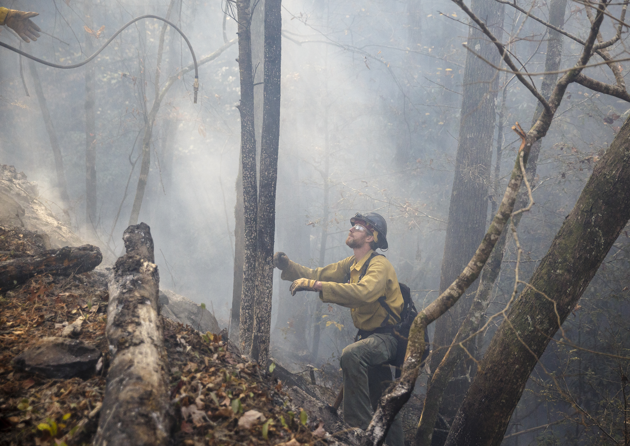 Firefighter Devin Delaney from St. Joseph, Missouri, reaches to catch a thrown hose as he works to put out hot spots in the ground while battling the Rough Ridge wildfire in the Cohutta Wilderness of the Chattahoochee-Oconee National Forest on Friday, Nov. 18, 2016, near Chatsworth, Ga. The wildfire, which was started by lightning in mid-October, has burned in mostly wilderness areas.
