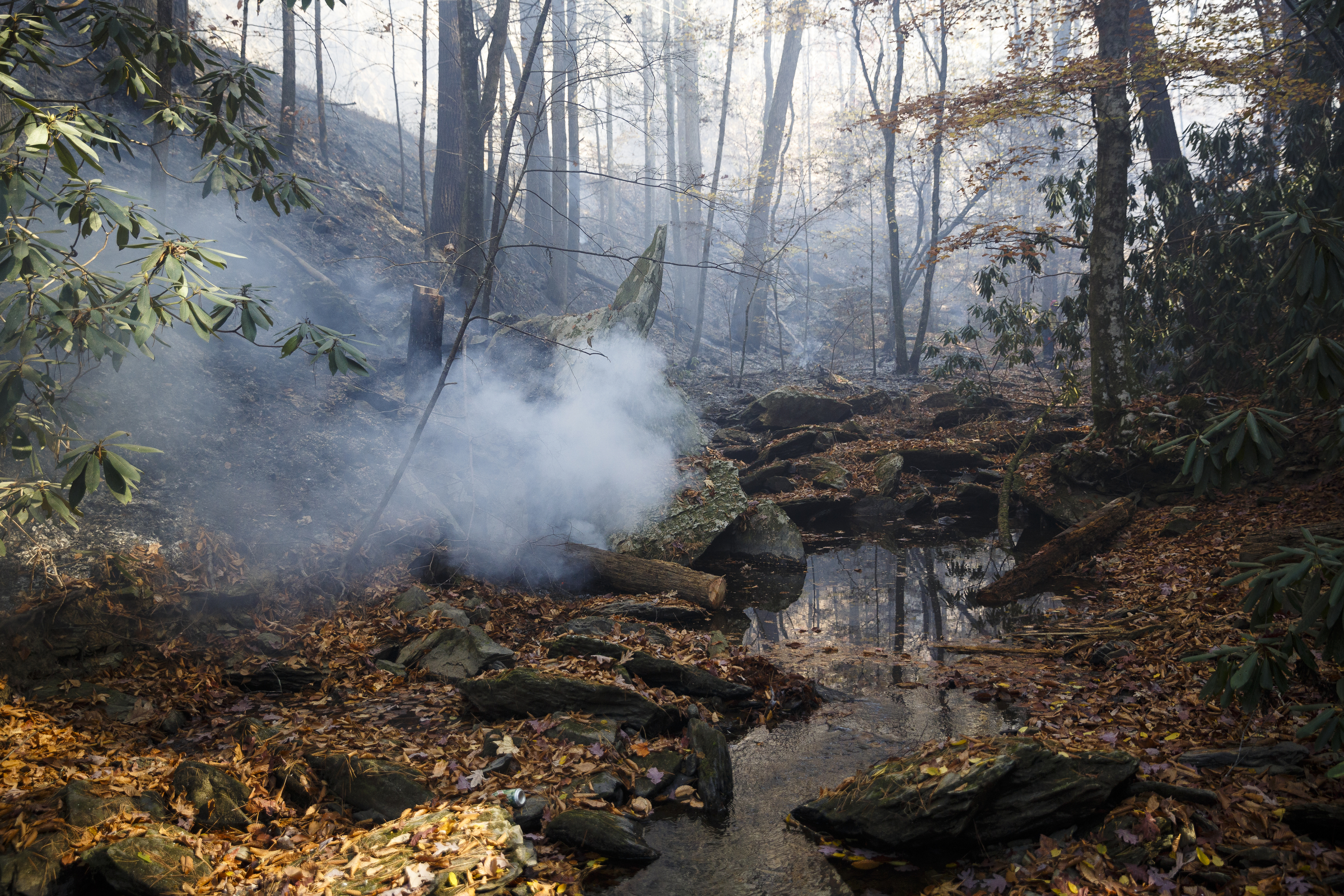 A stream is used as a natural fire break as firefighters battle the Rough Ridge wildfire in the Cohutta Wilderness of the Chattahoochee-Oconee National Forest on Friday, Nov. 18, 2016, near Chatsworth, Ga. The wildfire, which was started by lightning in mid-October, has burned in mostly wilderness areas.