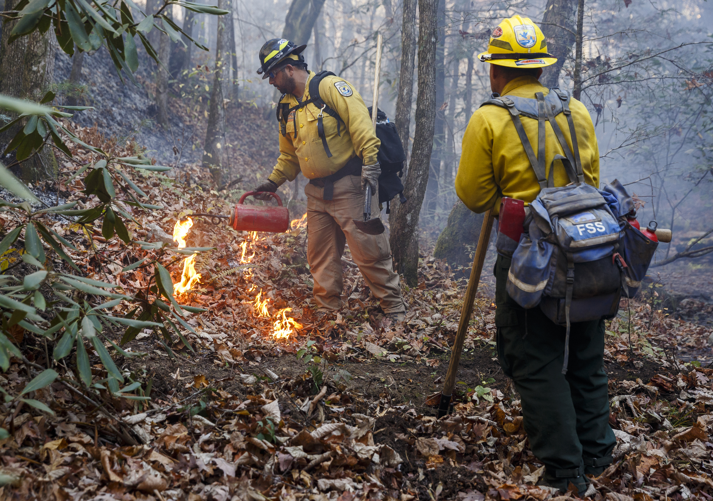 Firefighter Luis Saez, right, watches as teammate Jose Martinez uses a drip torch to burn out underbrush and remove fuel for the fire while battling the Rough Ridge wildfire in the Cohutta Wilderness of the Chattahoochee-Oconee National Forest on Friday, Nov. 18, 2016, near Chatsworth, Ga. The wildfire, which was started by lightning in mid-October, has burned in mostly wilderness areas.