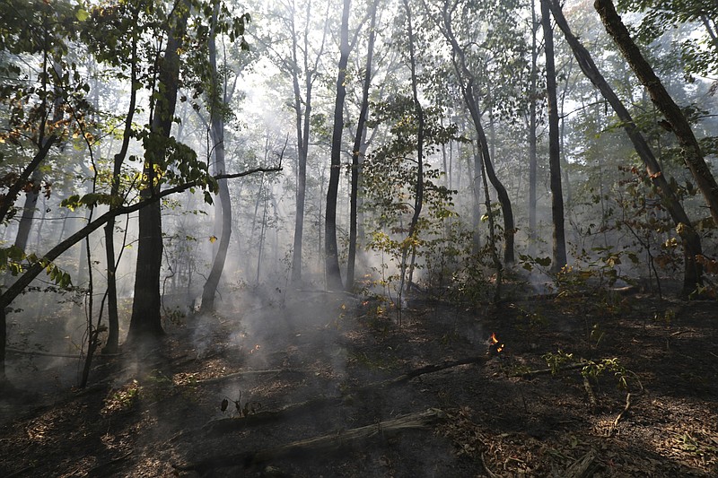 Both the Georgia Forestry Commission and the Tennessee Division of Forestry have been hard at work battling wildfires throughout the two states.