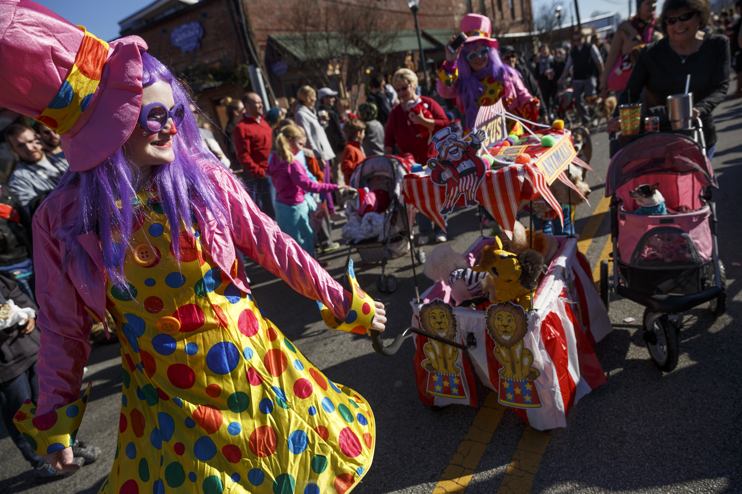 Andrea Killebrew pulls a wagon of dogs in the Mutt Strutt portion of last year's MainX24 parade along Main Street.
