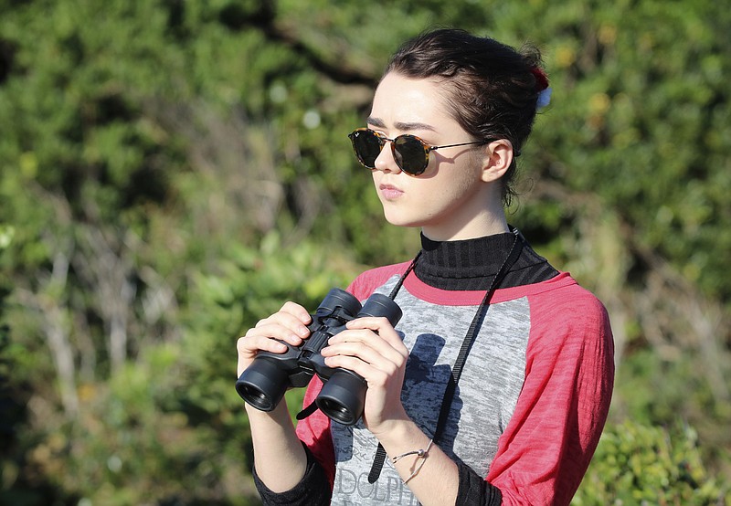 
              In this photo released by DolphinProject, Maisie Williams monitors dolphin hunting boats in Taiji, Wakayama prefecture, central Japan, Friday, Dec. 2, 2016. “Game of Thrones” star Williams, 19, wants everyone to stop buying tickets to marine shows, the best way, she thinks, to stop the dolphin capture and killing in Japan. Williams spoke Friday from the small Japanese town of Taiji, made famous in “The Cove” an Oscar-winning film that documented the dolphin hunt and starred Ric O'Barry, the dolphin trainer for the "Flipper" TV series. (Lincoln O’Barry via AP)
            