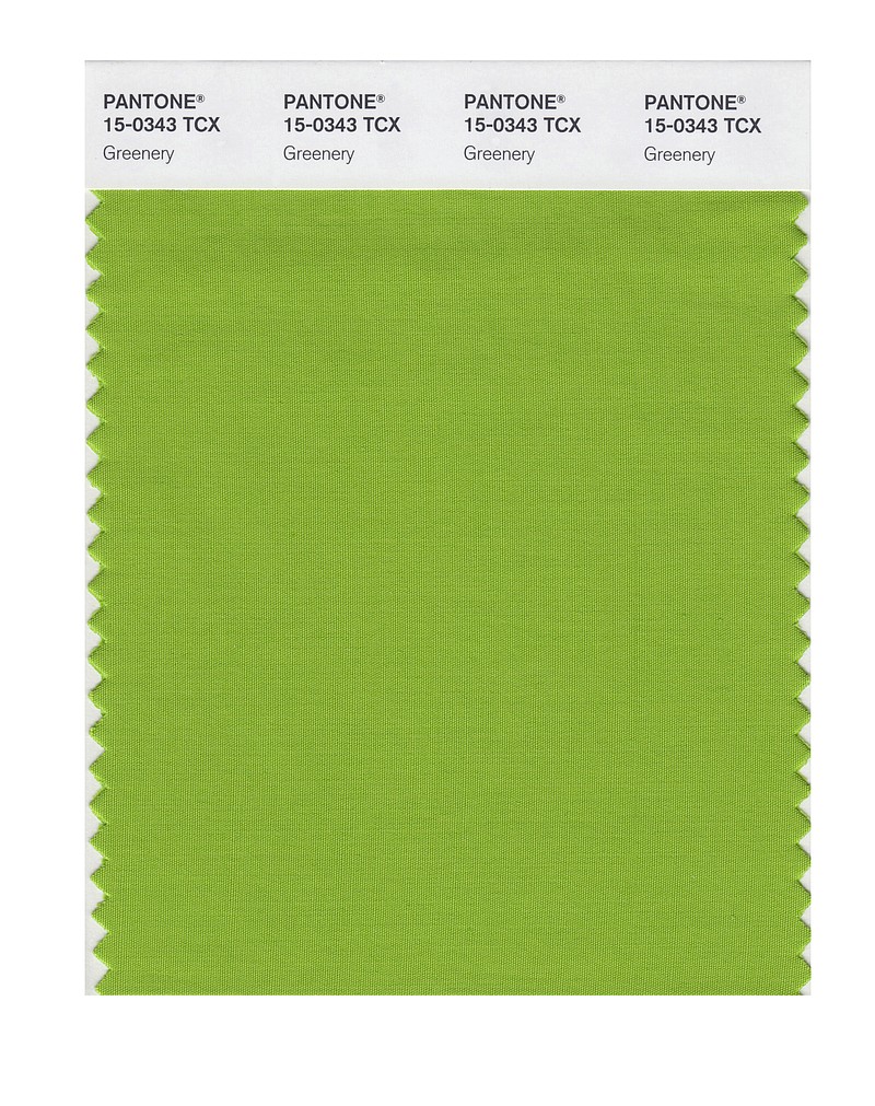 
              This image released by Pantone shows a color swatch called "greenery", which has been named as the color of the year for 2017 by the Pantone Color Institute. The vibrant green with yellow undertones is an answer, of sorts, to bruising 2016, signaling a yearning to rejuvenate, and to reconnect to both nature and something larger than oneself, said Laurie Pressman, the institute's vice president. (Pantone via AP)
            