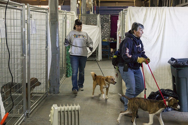 
              Volunteers walk dogs through a makeshift animal shelter operated by the Sevier County Humane Society in Sevierville, Tenn., Thursday, Dec. 8, 2016. Officials hope to reunite scores of pets separated from their owners during wildfires that did heavy damage to the area the previous week. (AP Photo/Erik Schelzig)
            