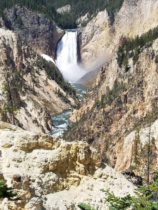 Lower Falls, the largest waterfall in Yellowstone, is a must-see destination in the park. (Photo by Jamie Smith)