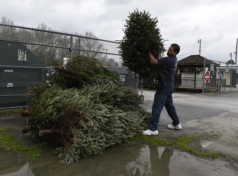 Joe Hyndman (CQ) recycles puts one of his family's Christmas trees on a pile at the Hamilton County Recycling Center on Crabtree Road on  Monday, Dec. 28, 2015, in the Middle Valley community near Chattanooga, Tenn. 