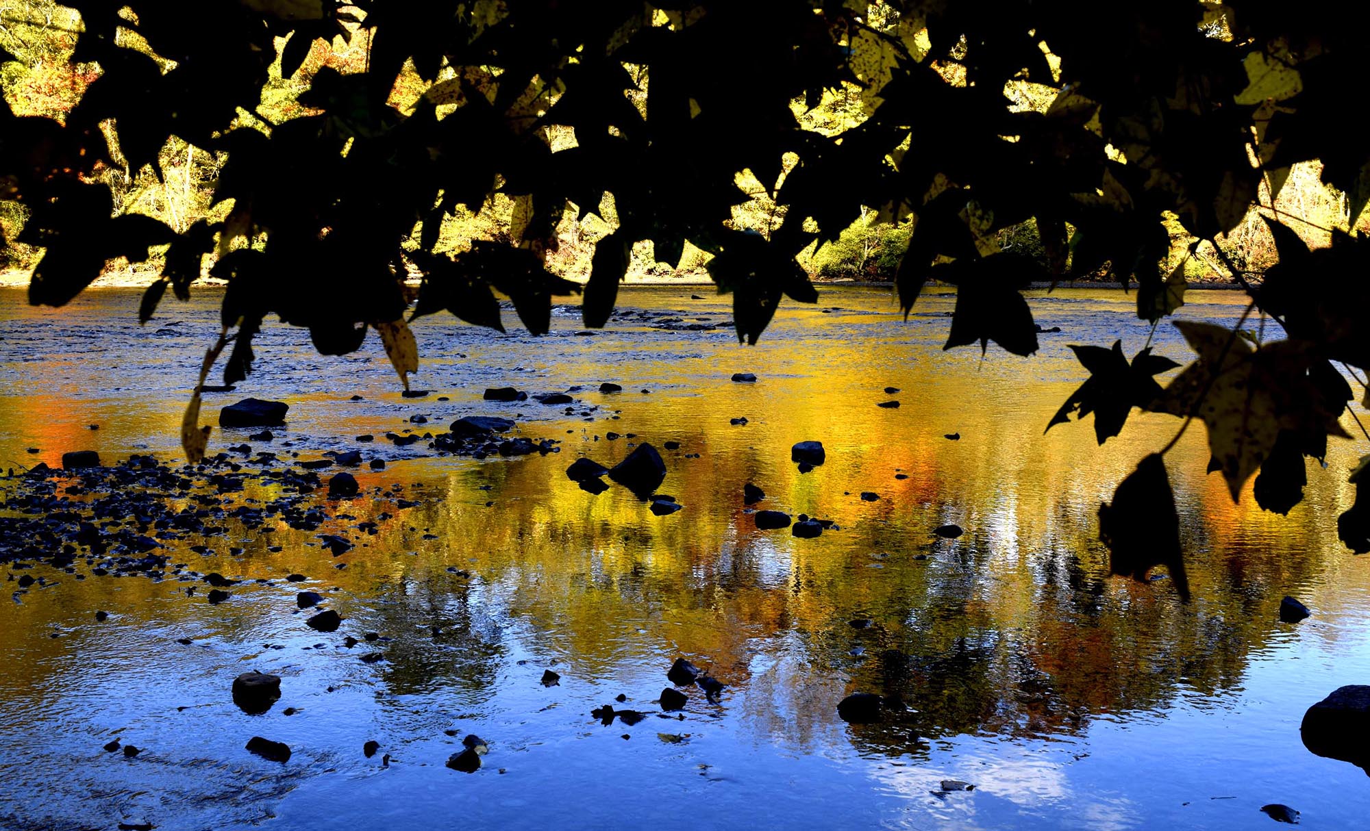 The colors of fall foliage reflect in the shaded waters of the Hiwassee River downstream from Reliance, Tennessee.  Fall color was still evident along the Hiwassee River in the Polk County on October 30, 2016 .