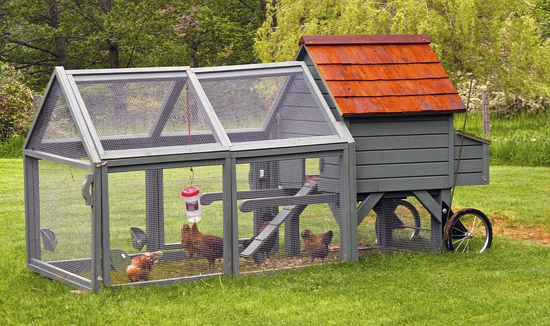 Put your backyard chickens to work around the yard, eating bugs, tilling and fertilizing, while returning them inside for shelter from predators and the weather at night. The fresh eggs they provide help them earn their keep, too.