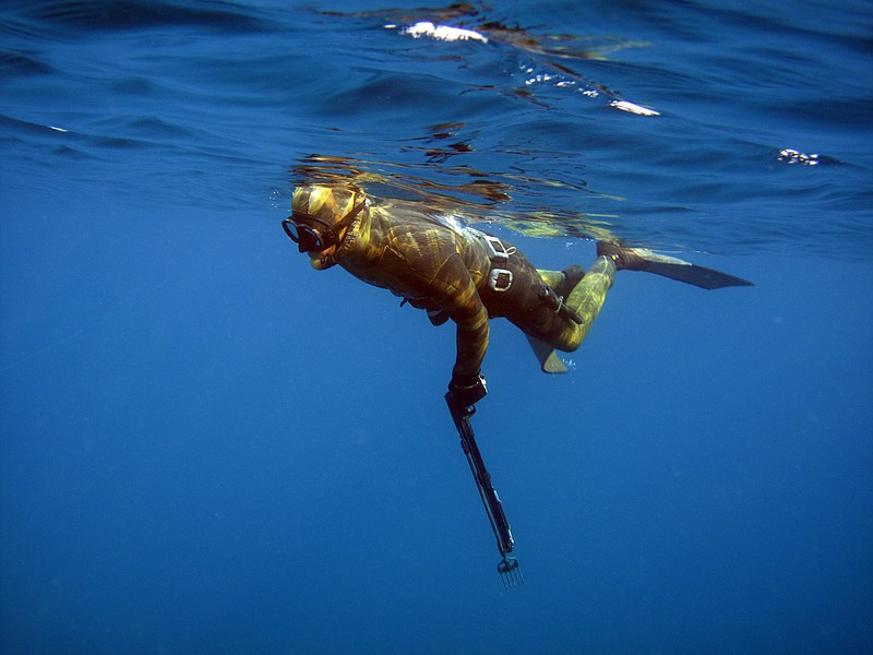 Underwater game: An introduction to spearfishing