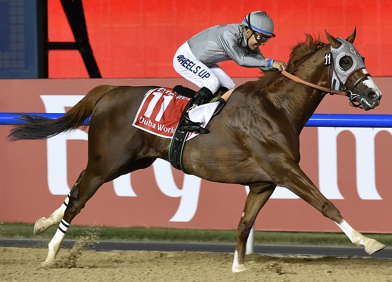 
              FILE - In this Saturday, March 26, 2016, file photo, California Chrome, ridden by Victor Espinoza, wins the Dubai World Cup horse race at Meydan Racecourse in Dubai, United Arab Emirates. California Chrome was the biggest winner at the Eclipse Awards on Saturday night, Jan. 21, 2017, taking home three trophies celebrating his accomplishments in 2016--including Horse of the Year for the second time. He also won an Eclipse as the best in the older dirt male division, and his victory at the Dubai World Cup was picked as the National Thoroughbred Racing Association's moment of the year. (AP Photo/Martin Dokoupil, File)
            