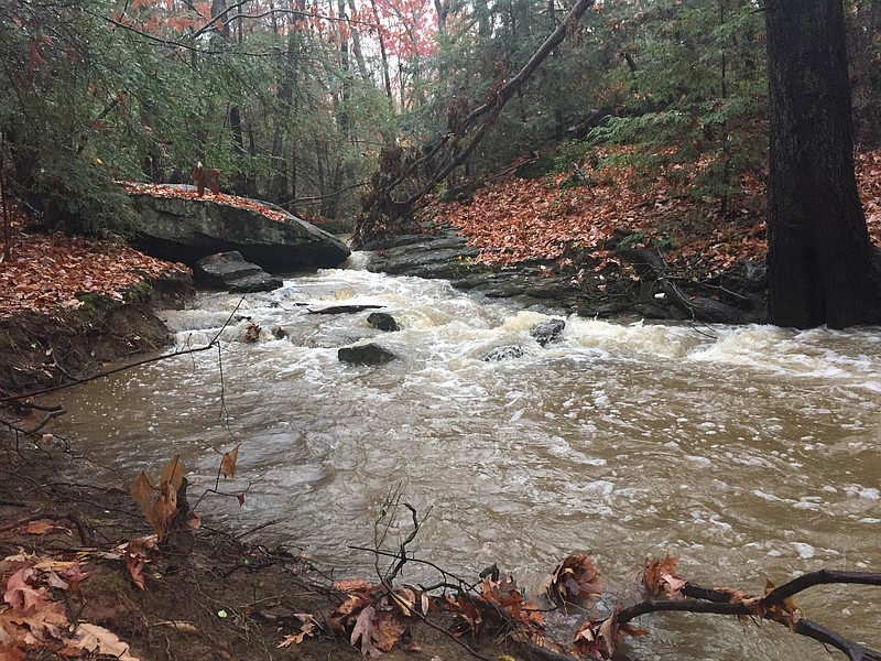 Shoal Creek, shown here just after a big rain in late November, is among the creeks tested for bacteria by TenneSEA Stream Teams.