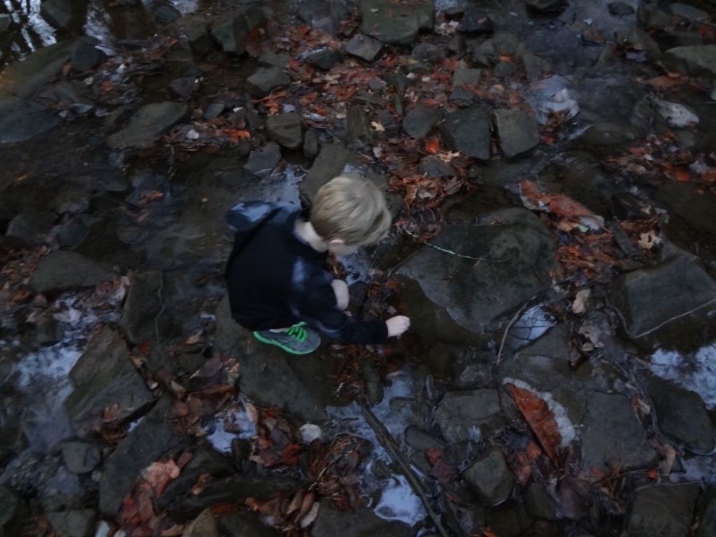 Stream Team member Carter takes a sample of creek water on Signal Mountain to test for E. coli.