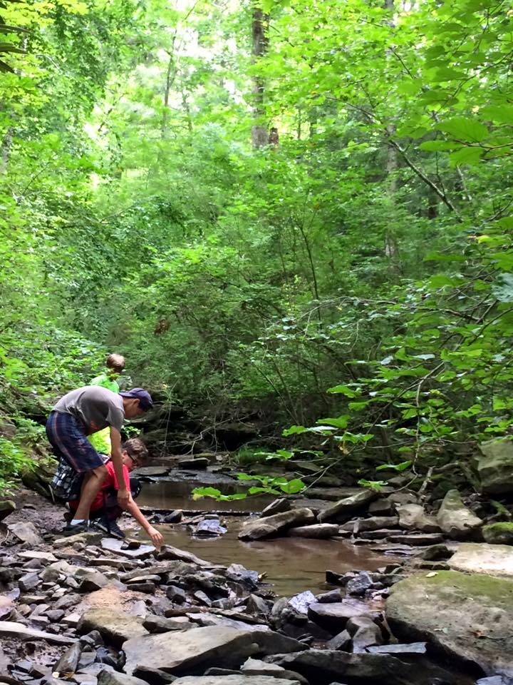 Stream Team members take a water sample from Shoal Creek to test for E. coli.