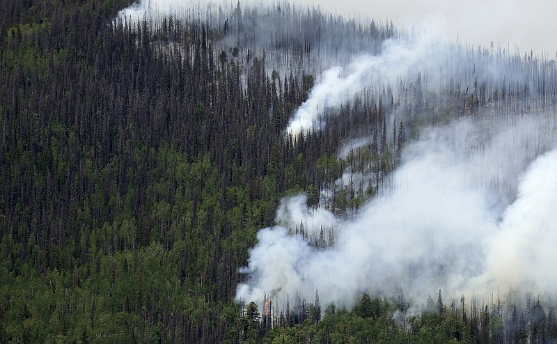 
              FILE - In this June 24, 2013 file photo, fire-promoting beetle-killed trees mix with live trees as a wildfire burns west of Creede, Colo. Foresters say the number of standing dead trees in Colorado is increasing steadily, threatening to make wildfires worse and to degrade vital water supplies that flow from forested mountains. The Colorado State Forest Service said Wednesday, Feb. 15, 2017 that the state has an estimated 834 million standing dead trees, up nearly 30 percent from seven years ago. (AP Photo/Gregory Bull, File)
            