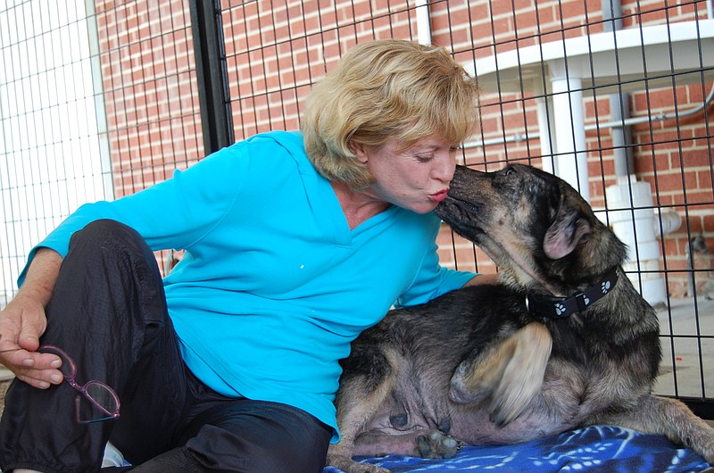 Eileen Price, executive director of Wally's Friends, visits with a dog who was treated at the facility not long after the organization first opened.