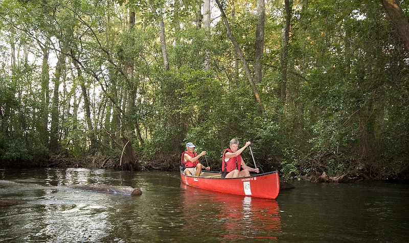 Canoe or kayak the Edisto River, North America's longest free-flowing blackwater river, in Aiken State Park.