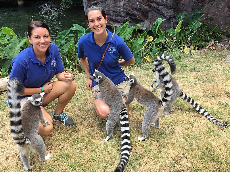 Holly Lutz and Chelsea Feast with ring-tailed lemurs.