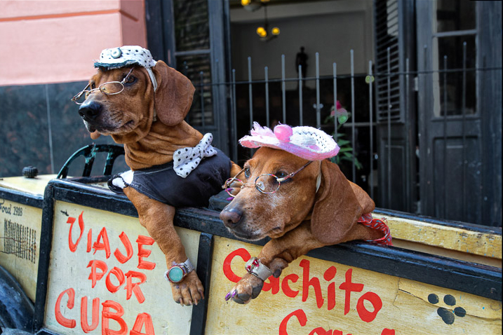 A photo from "Havana Dreams: Cuba in Living Color," a photography exhibition by Steve Dinberg.