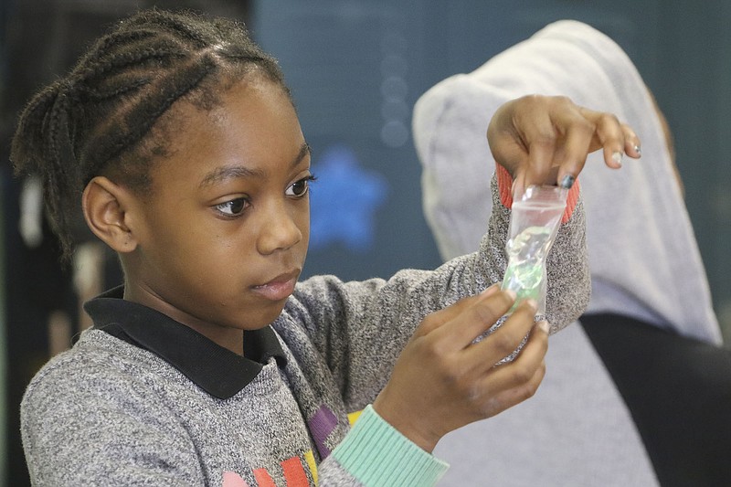 Staff Photo by Dan Henry / The Chattanooga Times Free Press- 2/21/17. Sy'Taishia Eberhardt assembles a "plant cell" in Susan Dorsa's fourth grade class as they learn about about plant cell structure using the Science Sparks! curriculum which Dorsa helped develop. More than 80 teachers across the district were given nine weeks worth of science lessons and all the supplies they need to make them hands-on. This pilot is one of the ways Hamilton County Schools is working to better engage students and teachers. 