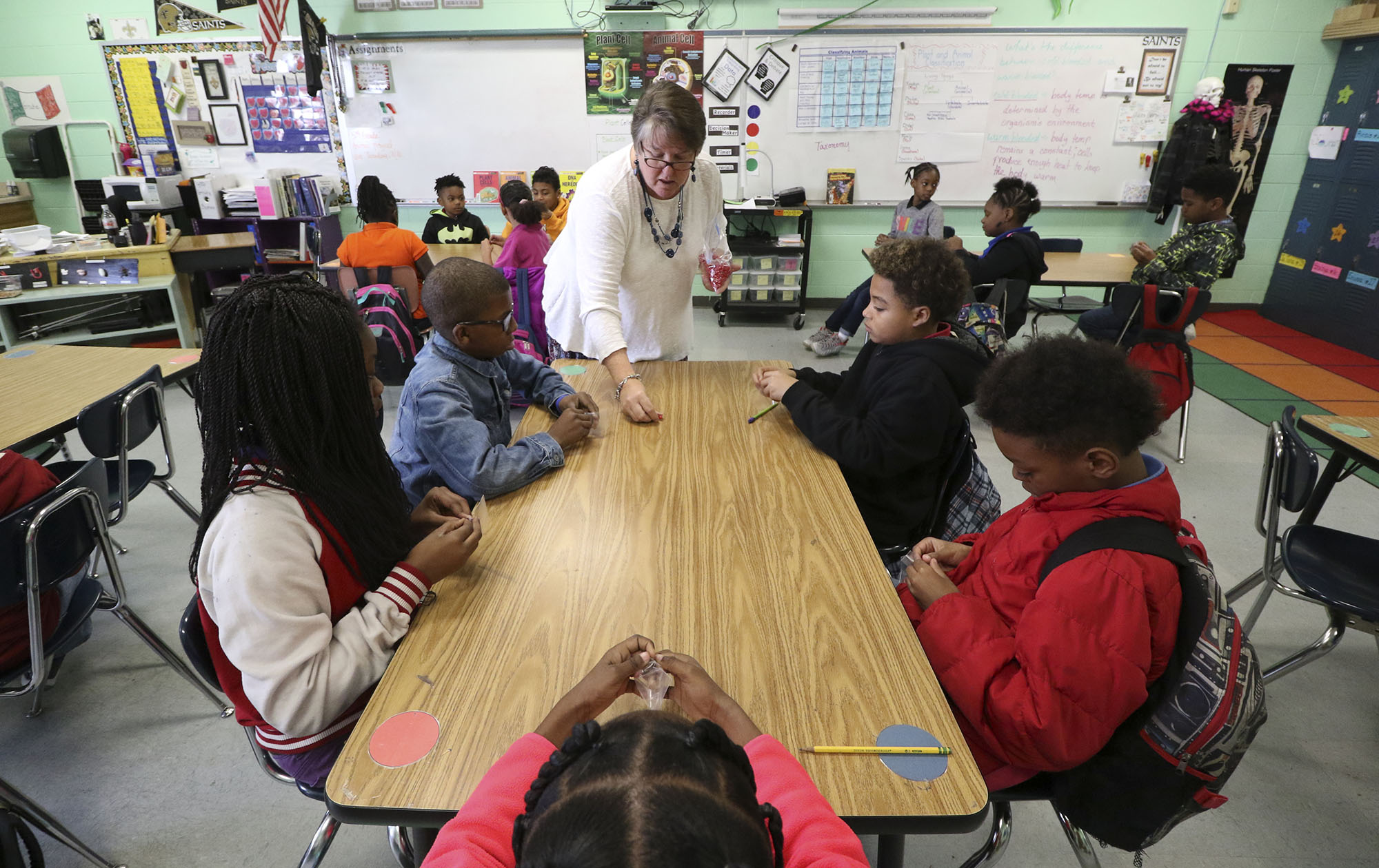 Staff Photo by Dan Henry / The Chattanooga Times Free Press- 2/21/17. Susan Dorsa teaches her fourth grade class about plant cell structure using the Science Sparks! curriculum which she helped develop. More than 80 teachers across the district were given nine weeks worth of science lessons and all the supplies they need to make them hands-on. This pilot is one of the ways Hamilton County Schools is working to better engage students and teachers.