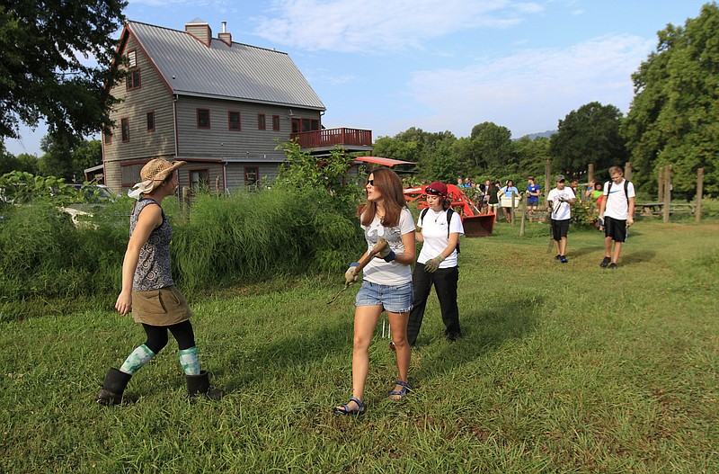 Sara McIntyre teaches a group of students how to harvest beets at Crabtree Farms during a week-long teen summer camp hosted by the Tennessee Aquarium.