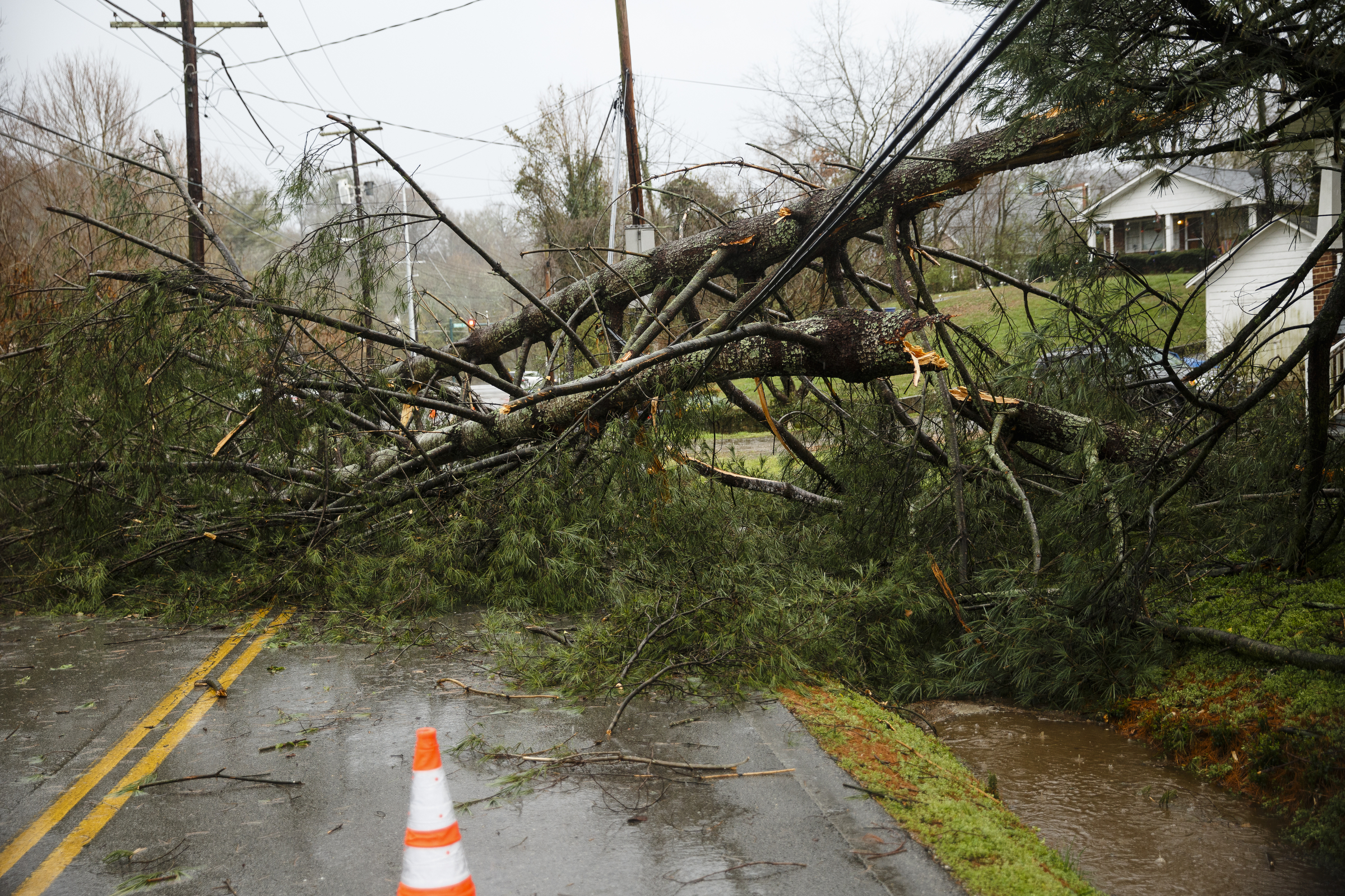 A downed tree blocks Martin Road on Wednesday, March 1, 2017, in Red Bank, Tenn. Severe storms swept through the region Wednesday afternoon.