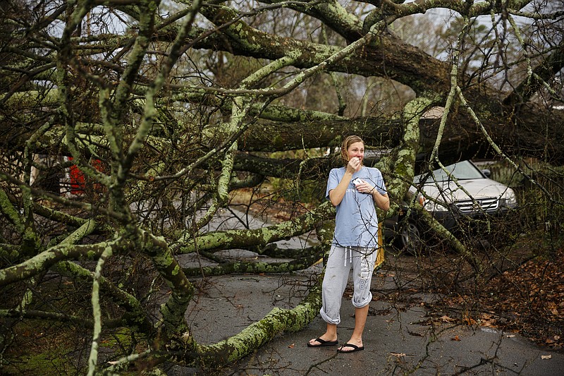 Chrisha Diaz examines a downed tree in an alley between Westwood Avenue and Highland Drive on Wednesday, March 1, 2017, in Chattanooga, Tenn. Severe storms swept through the region Wednesday afternoon.