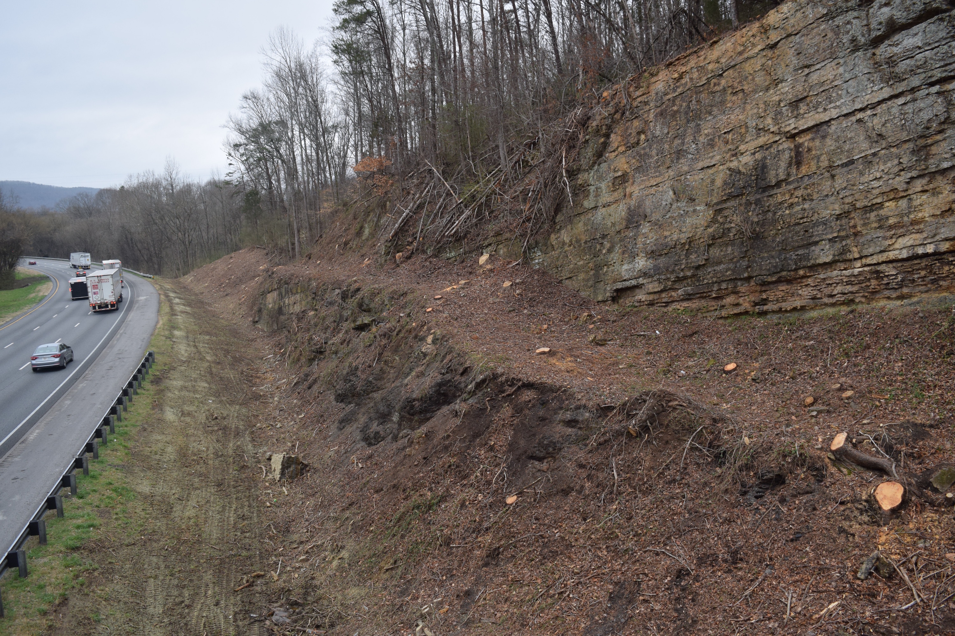 Georgia Department of Transportation crews have trimmed back the tree line on Intestate 24, west of Chattanooga where it runs through the Peach State for four miles along the Tennessee border. GDOT crews also are doing similar work on Interstate 59. The work is intended to enhance safety to improve driver visibility and response time. Here, tree stumps extend down almost to the drainage ditch, showing where the tree line was previously.