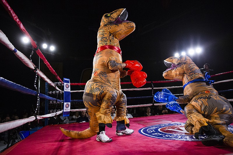 Chattanooga Police Chief Fred Fletcher, right, is taken down by Fire Chief Chris Adams, both dressed as Tyrannosaurus Rex, during the Guns and Hoses: Battle of the Badges event at UTC on Saturday, March 4, 2017, in Chattanooga, Tenn. The annual fundraiser pits firefighters against police officers in the boxing ring to raise money for YCAP and the Forgotten Child Fund.