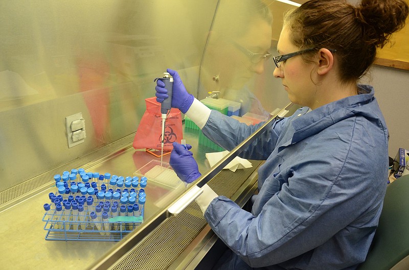 A laboratory employee works with avian influenza virus samples.