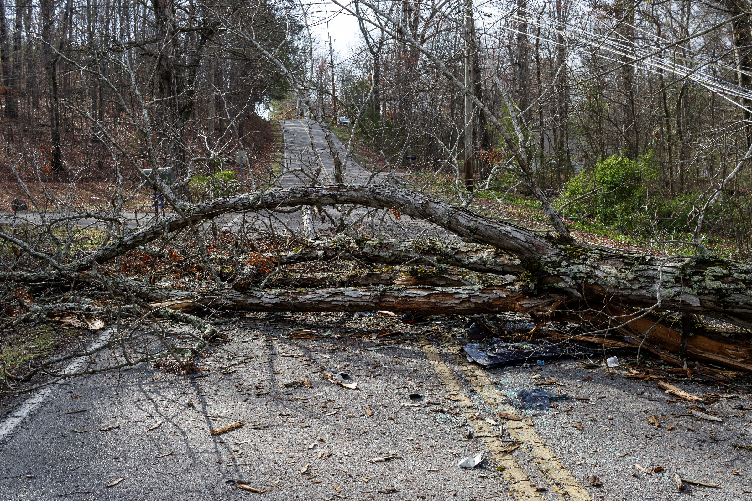 A tree which struck a car is across the 1400 block of Bowman Road on Wednesday, March 22, 2017, in Hixson, Tenn., after Tuesday evening storms caused isolated damage throughout the region.