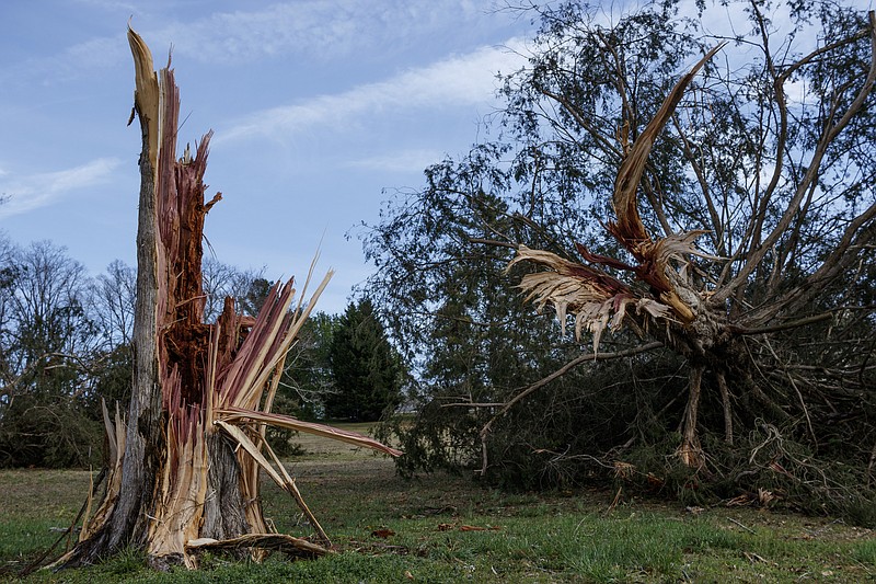 A tree is snapped in half on Carolina Circle on Wednesday, March 22, 2017, in Hixson, Tenn., after Tuesday evening storms caused isolated damage throughout the region.