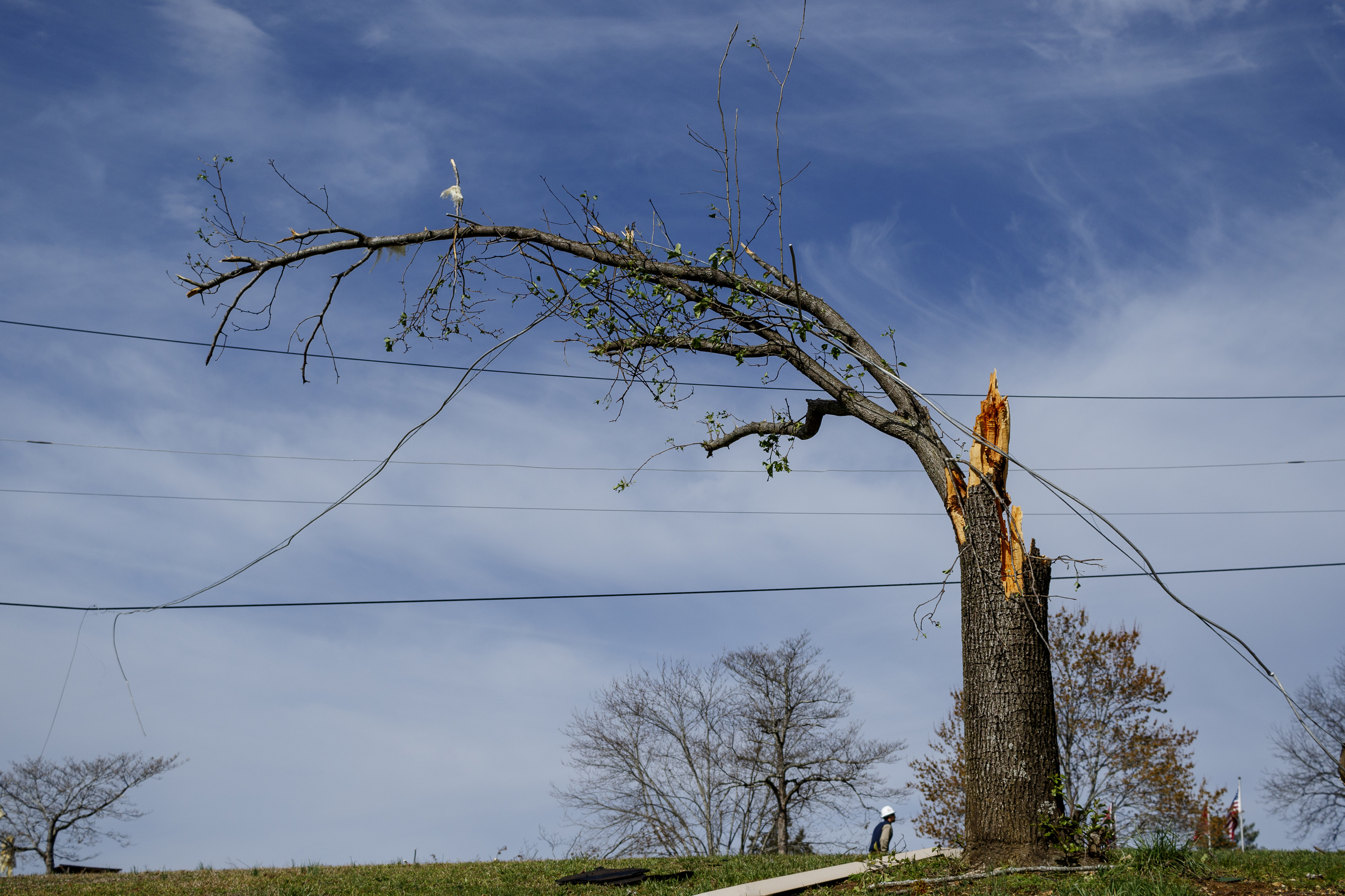 A tree is snapped in half on Berkeley Lane on Wednesday, March 22, 2017, in Hixson, Tenn., after Tuesday evening storms caused isolated damage throughout the region.
