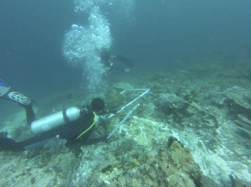 
              In this undated photo released by Indonesian Maritime Affairs and Fisheries Ministry, divers survey damaged coral reef caused by cruise ship M.V. Caledonian Sky that ran aground earlier this month in the waters of Raja Ampat, Papua province, Indonesia. Indonesia says nearly 19,000 square meters of coral reef was damaged in the pristine waters. (Indonesian Maritime Affairs and Fisheries Ministry via AP)
            