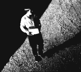 Bradley County detectives seek public's help in identifying burglary ...
