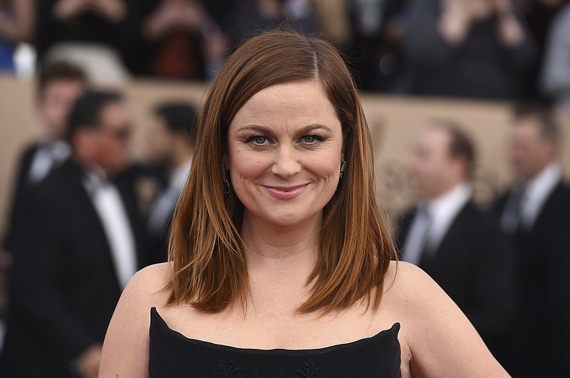 
              FILE -  In this Jan. 30, 2016, file photo, Amy Poehler arrives at the 22nd annual Screen Actors Guild Awards at the Shrine Auditorium & Expo Hall on Saturday, Jan. 30, 2016, in Los Angeles. NBC announced on March 28, 2017, that Poehler is teaming up with her former "Parks and Recreation" co-star Nick Offerman for an for an NBC reality competition focused on craft making. (Photo by Richard Shotwell/Invision/AP, File)(Photo by Jordan Strauss/Invision/AP, File)
            
