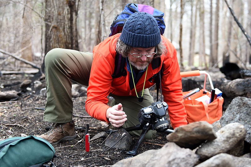 Brandon Matheny, a mycologist at University of Tennessee documents a sample of Mycena, a type of fungus, at Twin Creeks Nature Center in Great Smoky Mountains National Park Saturday April 1, 2017. Matheny, along with UT mycologists Karen Hughes and Ron Petersen are studying two fungi in particular that come up only after fires.