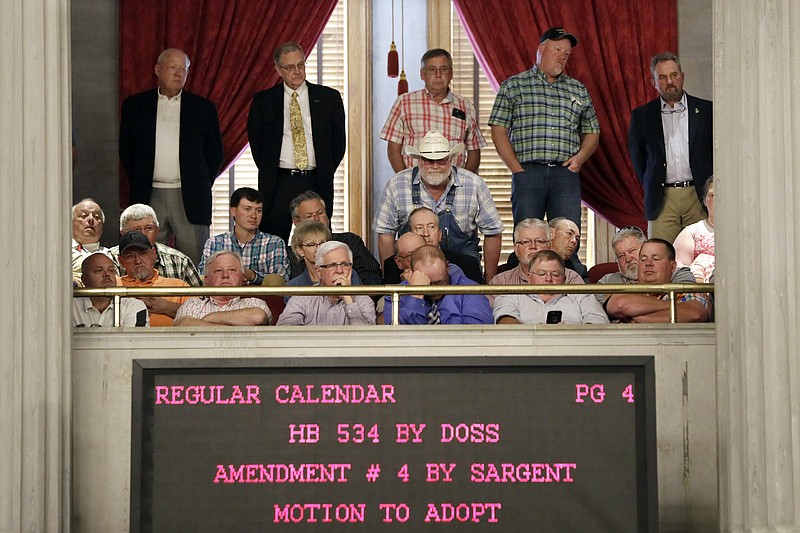 People listen from the gallery during debate on Gov. Bill Haslam's road and bridge funding bill in the House of Representatives Wednesday, April 19, 2017, in Nashville, Tenn. A Republican effort to remove Tennessee's first gas tax hike since 1989 from Haslam's road and bridge funding bill was soundly defeated in the House on Wednesday. (AP Photo/Mark Humphrey)