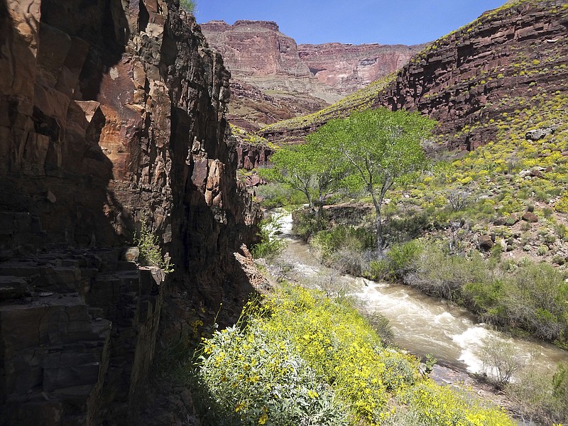 This Sunday, April 16, 2017, photo provided by the National Park Service shows Tapeats Creek in Grand Canyon National Park in Arizona. Authorities are searching for Jackson Standefer, 14, and Lou-Ann Merrell, 62, after the pair lost their footing Saturday and fell into the water during a family trip in a remote area of the Arizona park. (National Park Service via AP)