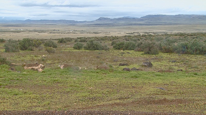 
              In this April 15, 2017, video image courtesy of KTVB-TV shows the remote area where skeletal remains were found in a badger hole north of Mountain Home, Idaho. The fluke discovery of children's bones has investigators trying to figure out if they're dealing with a double homicide or the badger-disturbed the grave of young emigrants on the Oregon Trail. The case that started earlier this month in high desert sagebrush steppe took another twist over the weekend when a forensic anthropologist determined the bones involved two children, not one as detectives initially thought. Elmore County Undersheriff Greg Berry says detectives are waiting for carbon dating results before making their next move. Results aren't expected for several weeks. (Paul Boehlke/ KTVB via AP)
            