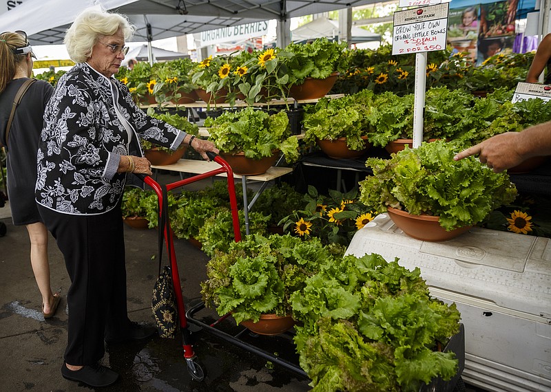 Florence Davis takes a cart of grow-your-own-lettuce on the opening day of the Chattanooga Market at the First Tennessee Pavilion on Saturday, April 29, 2017, in Chattanooga, Tenn. The annual market features local vendors selling art, crafts, produce and artisan goods on Sundays until the fall.