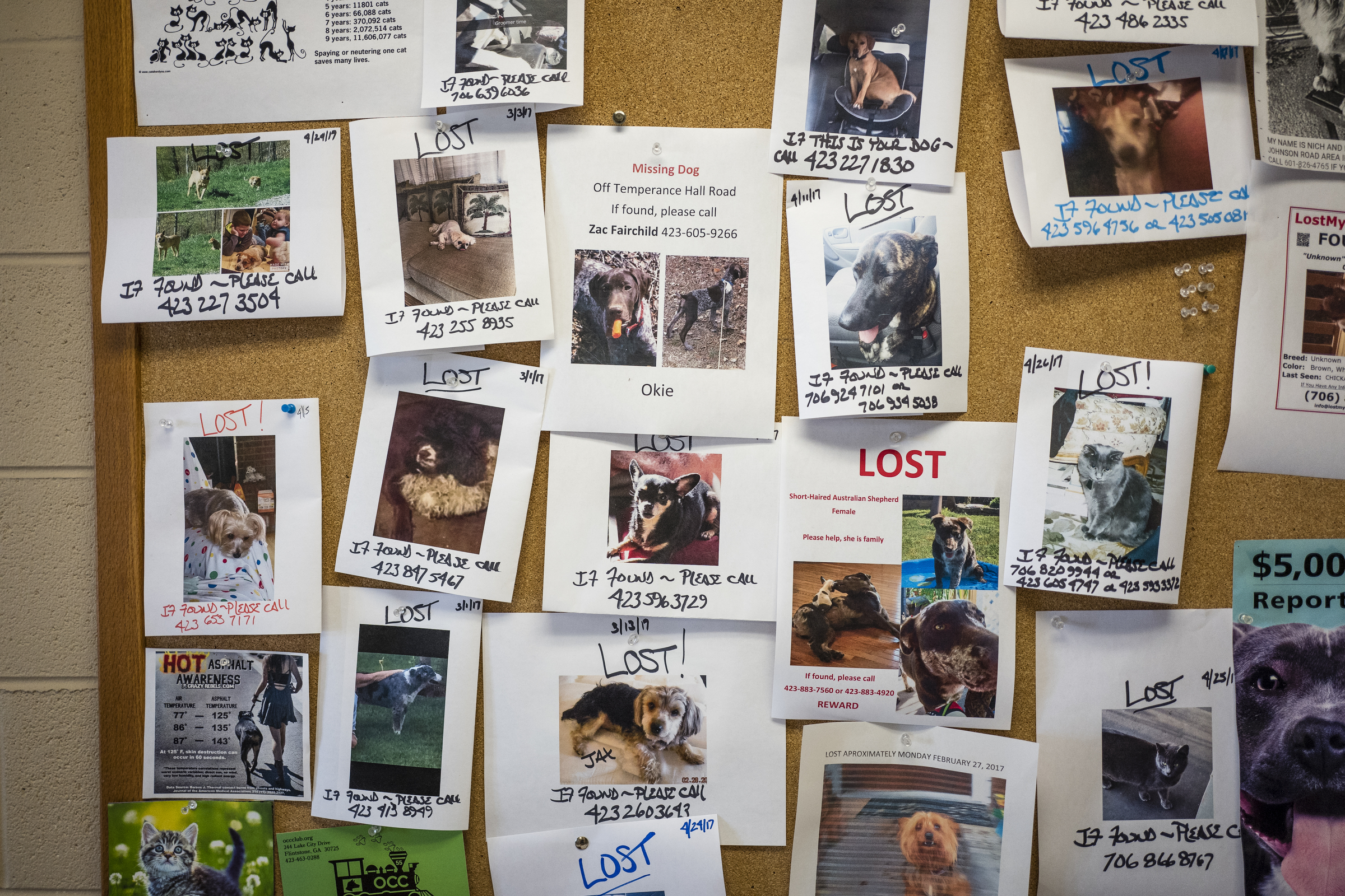 Lost pet flyers are posted on a cork board at the Walker County Animal Shelter on Friday, April 28, 2017, in Chickamauga, Ga. The shelter is partnering with Target Zero to reduce the shelter's euthanasia rate.
