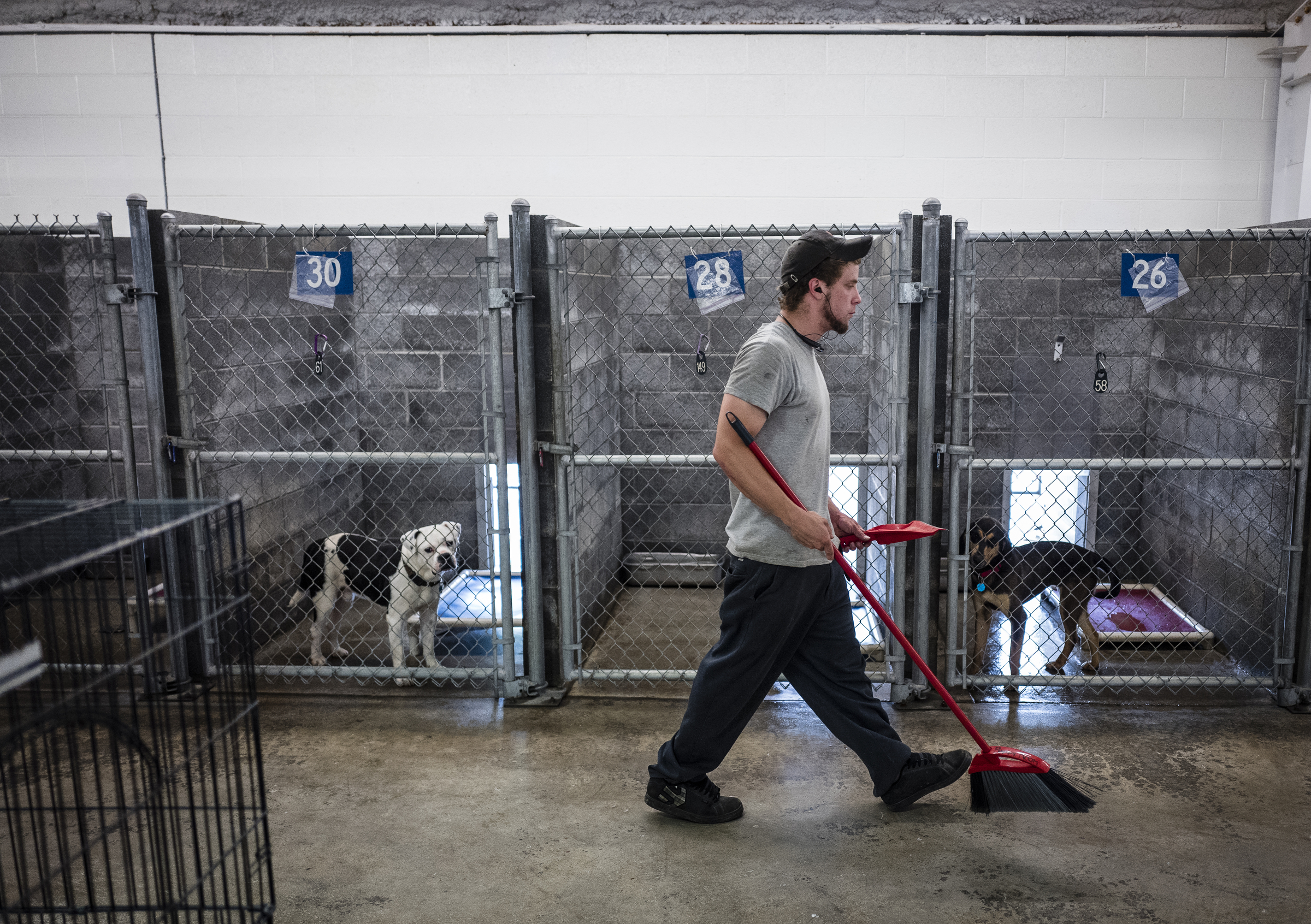 Volunteer Derek Quinn carries a broom as he sweeps in front of kennels at the Walker County Animal Shelter on Friday, April 28, 2017, in Chickamauga, Ga. The shelter is partnering with Target Zero to reduce the shelter's euthanasia rate.