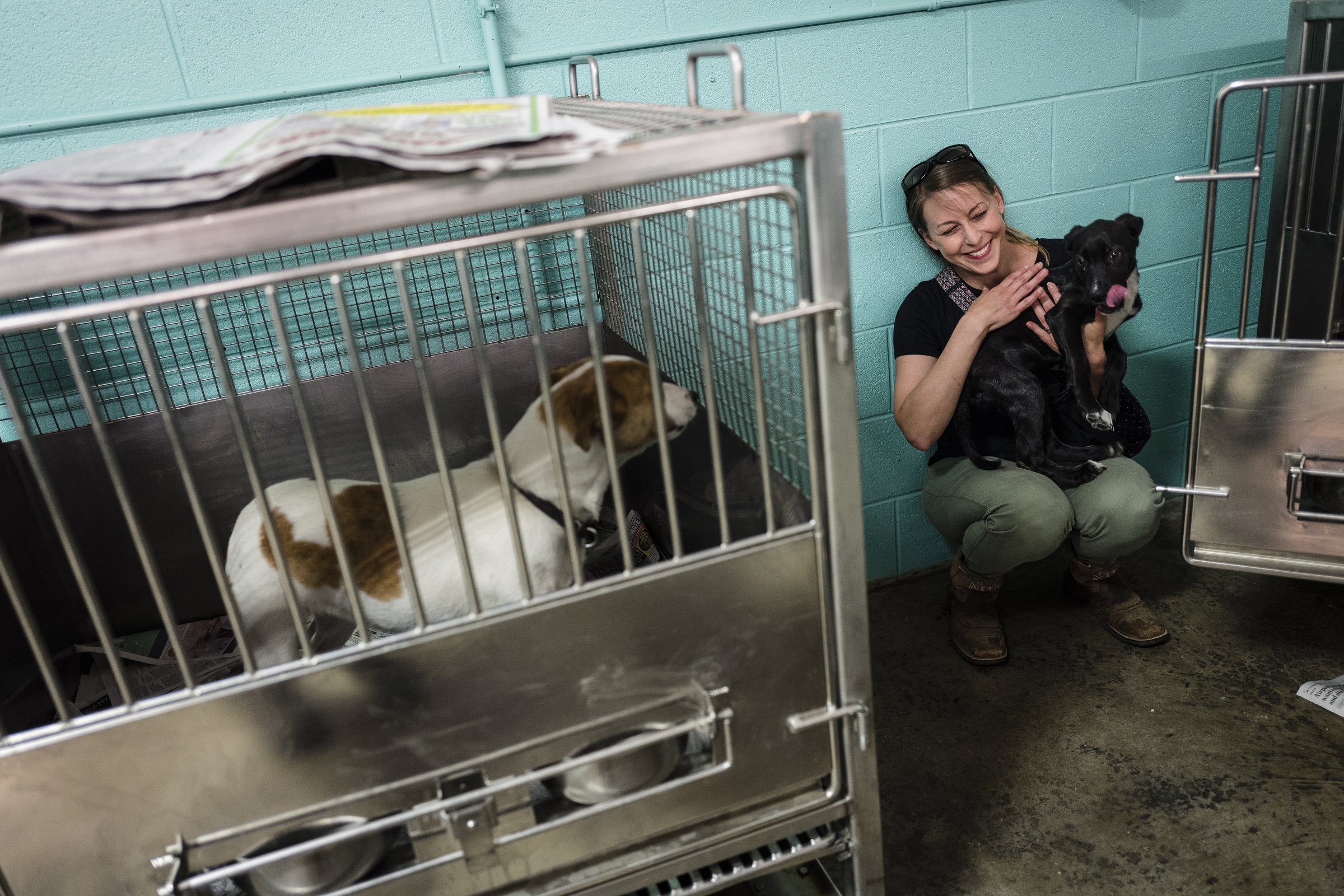 Alycia Feely meets a dog outside of its kennel at the Walker County Animal Shelter on Friday, April 28, 2017, in Chickamauga, Ga. The shelter is partnering with Target Zero to reduce the shelter's euthanasia rate.