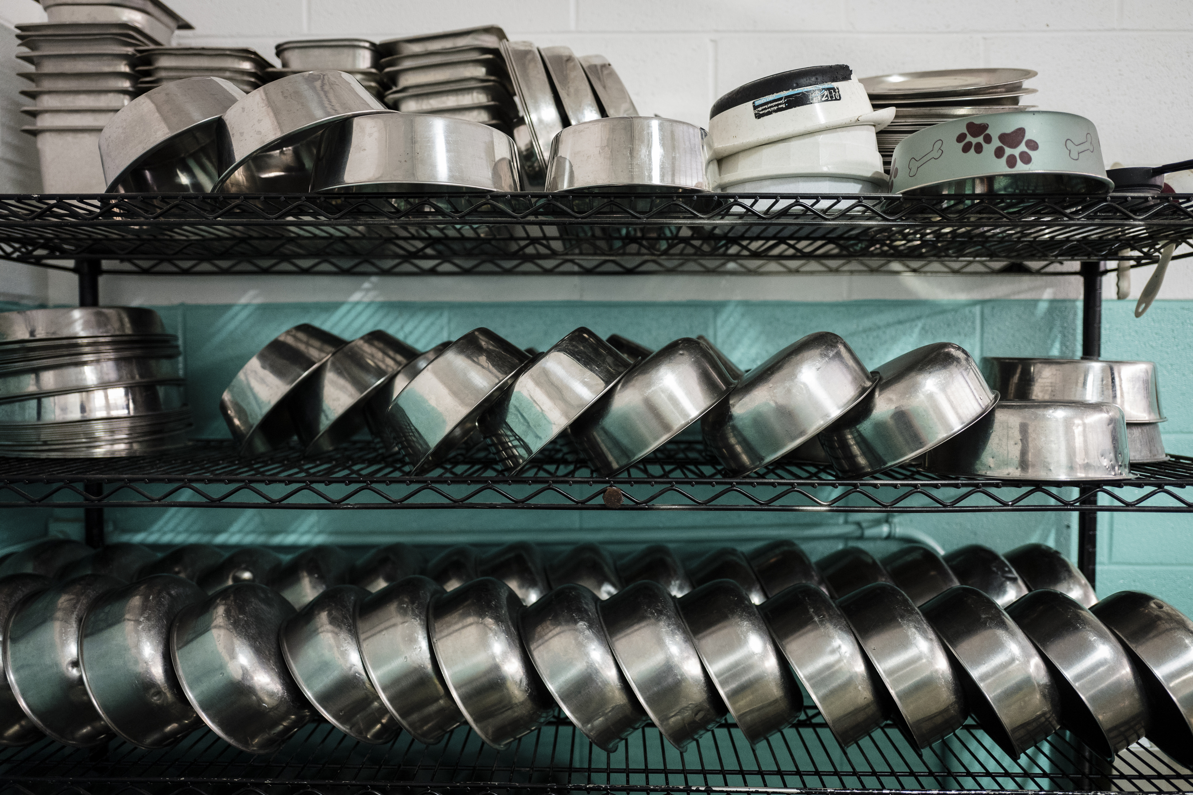 Bowls are stacked to dry at the Walker County Animal Shelter on Friday, April 28, 2017, in Chickamauga, Ga. The shelter is partnering with Target Zero to reduce the shelter's euthanasia rate.