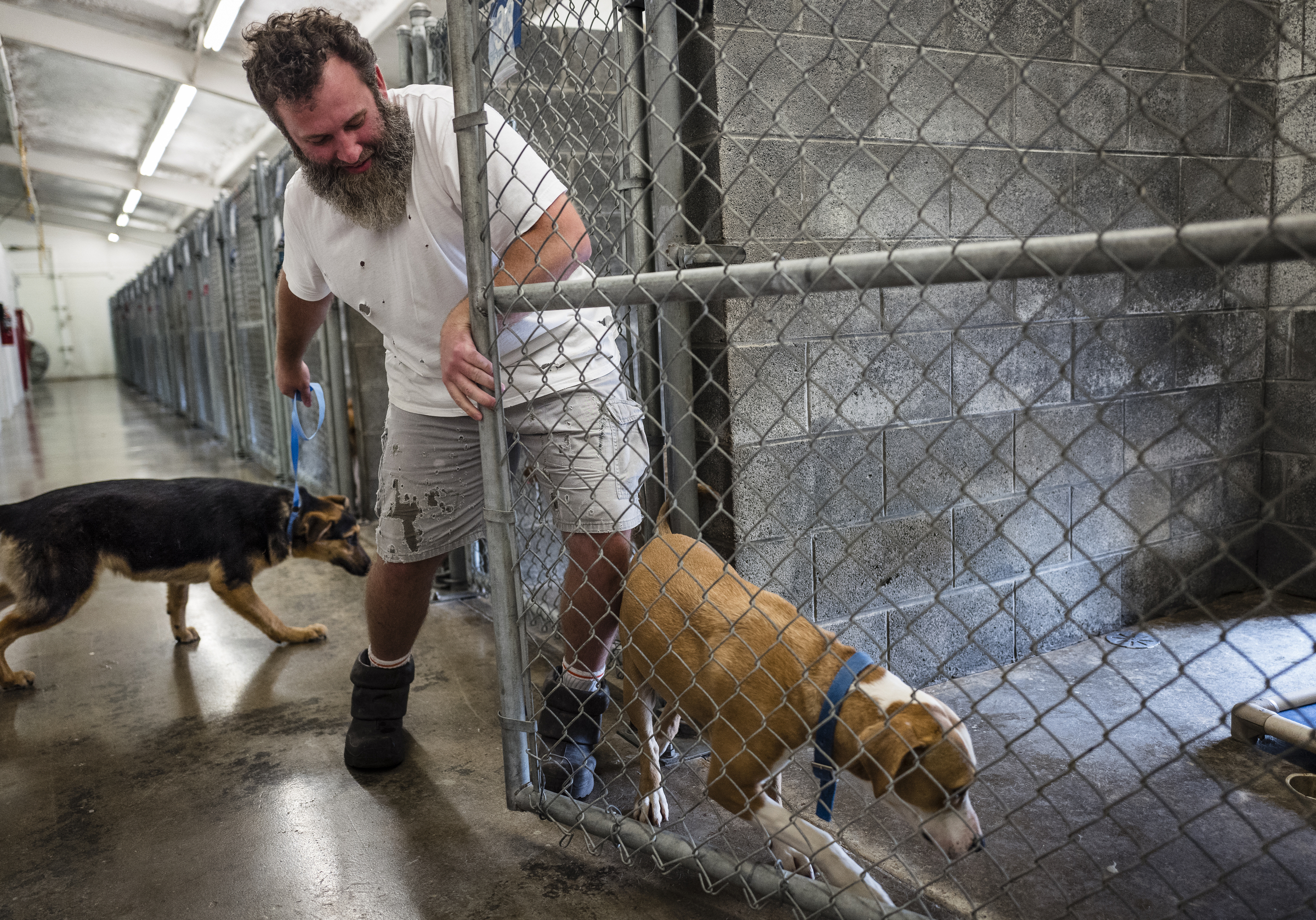Kevin Key takes a dog out of a kennel to meet a potential new family at the Walker County Animal Shelter on Friday, April 28, 2017, in Chickamauga, Ga. The shelter is partnering with Target Zero to reduce the shelter's euthanasia rate.
