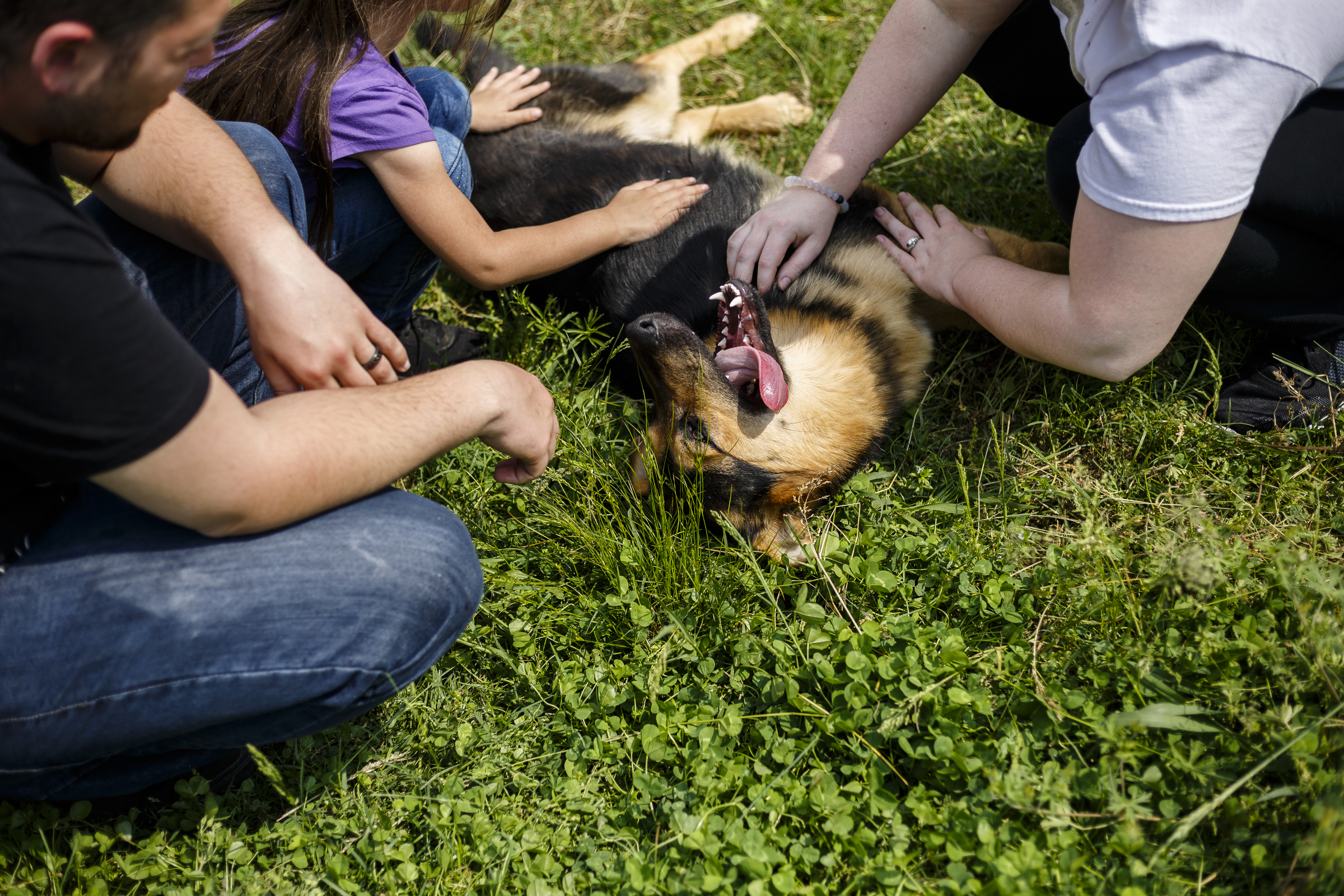 A family meets a dog available for adoption at the Walker County Animal Shelter on Friday, April 28, 2017, in Chickamauga, Ga. The shelter is partnering with Target Zero to reduce the shelter's euthanasia rate.